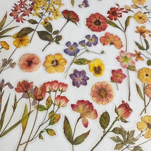 Set di adesivi con fiori secchi, adesivi con bouquet di fiori selvatici, adesivi con fiori selvatici, adesivi floreali hippie boho, adesivi con fiori di prato