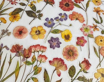 May include: A sheet of pressed flower stickers featuring a variety of flowers in shades of red, yellow, purple, and brown. The flowers are arranged in a random pattern on a white background.