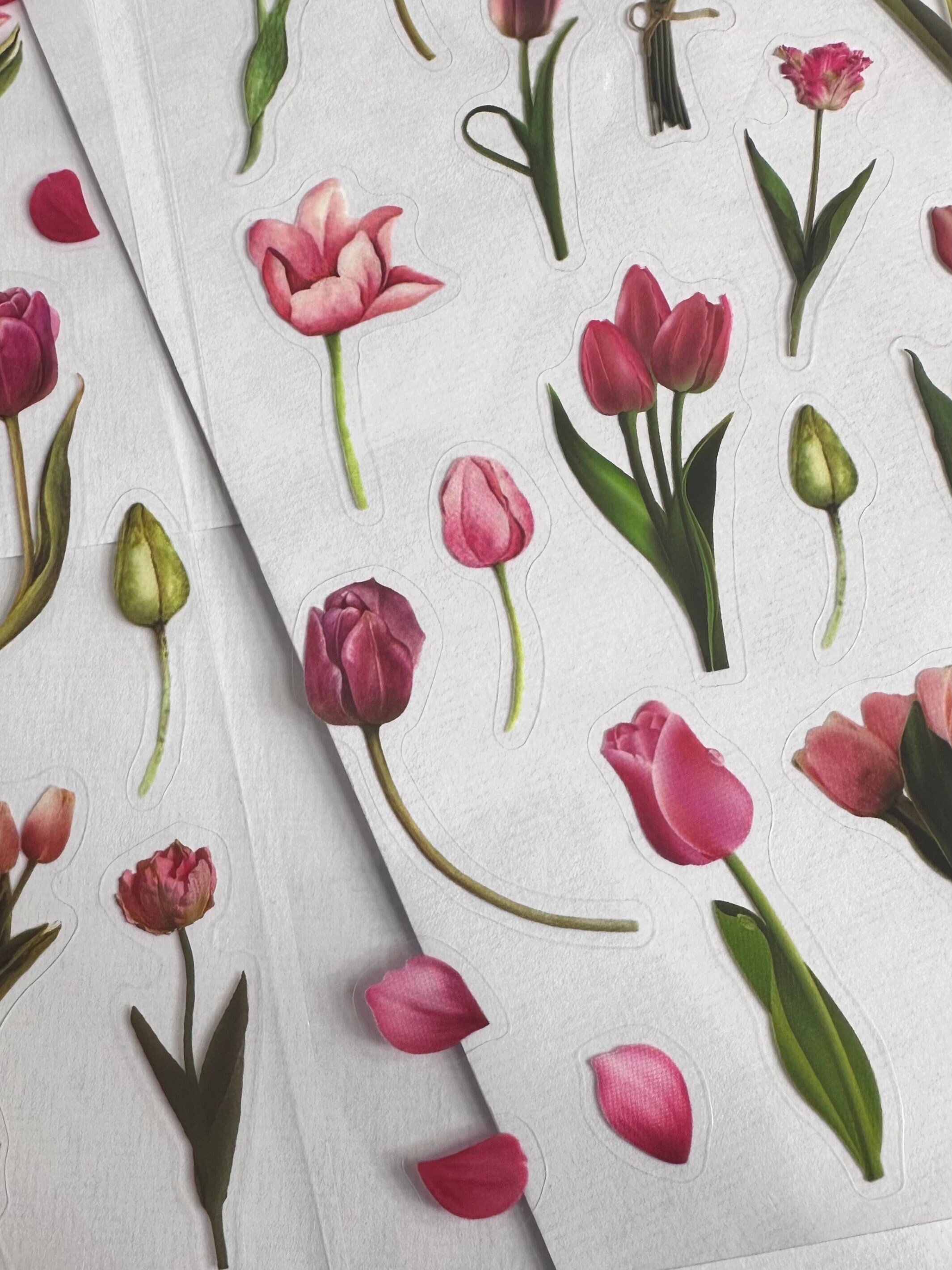Sheet of Tulip Floral Stickers Flower Plants Craft Stickers - Etsy
