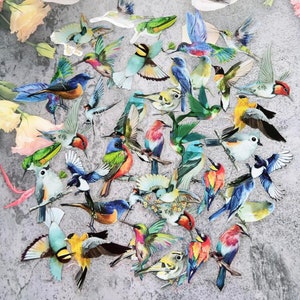 Puede incluir: Una colección de recortes de pájaros coloridos con detalles intrincados. Los pájaros están en varias poses, incluyendo volando, posados y en pleno vuelo. Los recortes están hechos de papel y tienen una estética vintage.