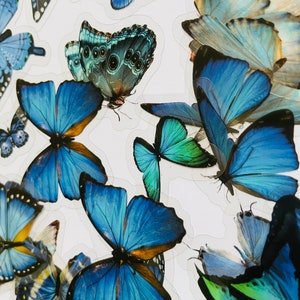 May include: A sheet of blue butterfly stickers. The butterflies are various shades of blue and have intricate patterns on their wings.