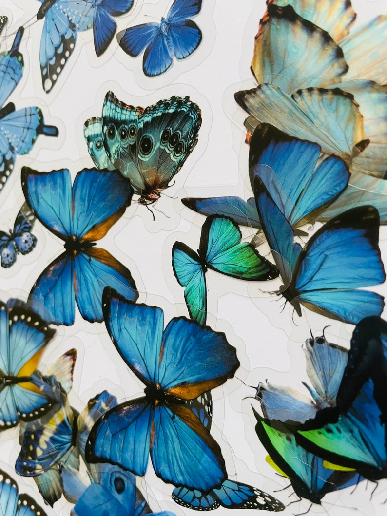 May include: A sheet of blue butterfly stickers. The butterflies are various shades of blue and have intricate patterns on their wings.