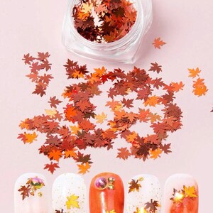 Set aus Ahornblätter, Herbst Sticker, Ahornblätter, Orangen, Bullet Journal, Sticker und Sticker für Pflanzen