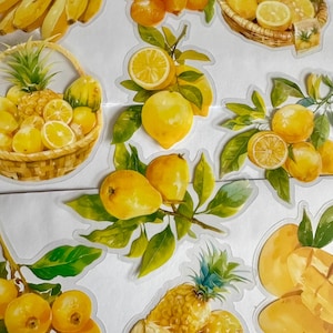 Set di adesivi di frutta mista, adesivi di bacche, adesivi di frutta, adesivi di fragole, adesivi di frutti di bosco, prugna, mela, lampone, albicocca, fiori