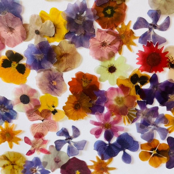 Trockenblumen-Aufkleber, Wildblumenstrauß-Aufkleber, Wildblumen-Aufkleber, Hippie Boho Blumen-Aufkleber, Wiesenblumen-Aufkleber