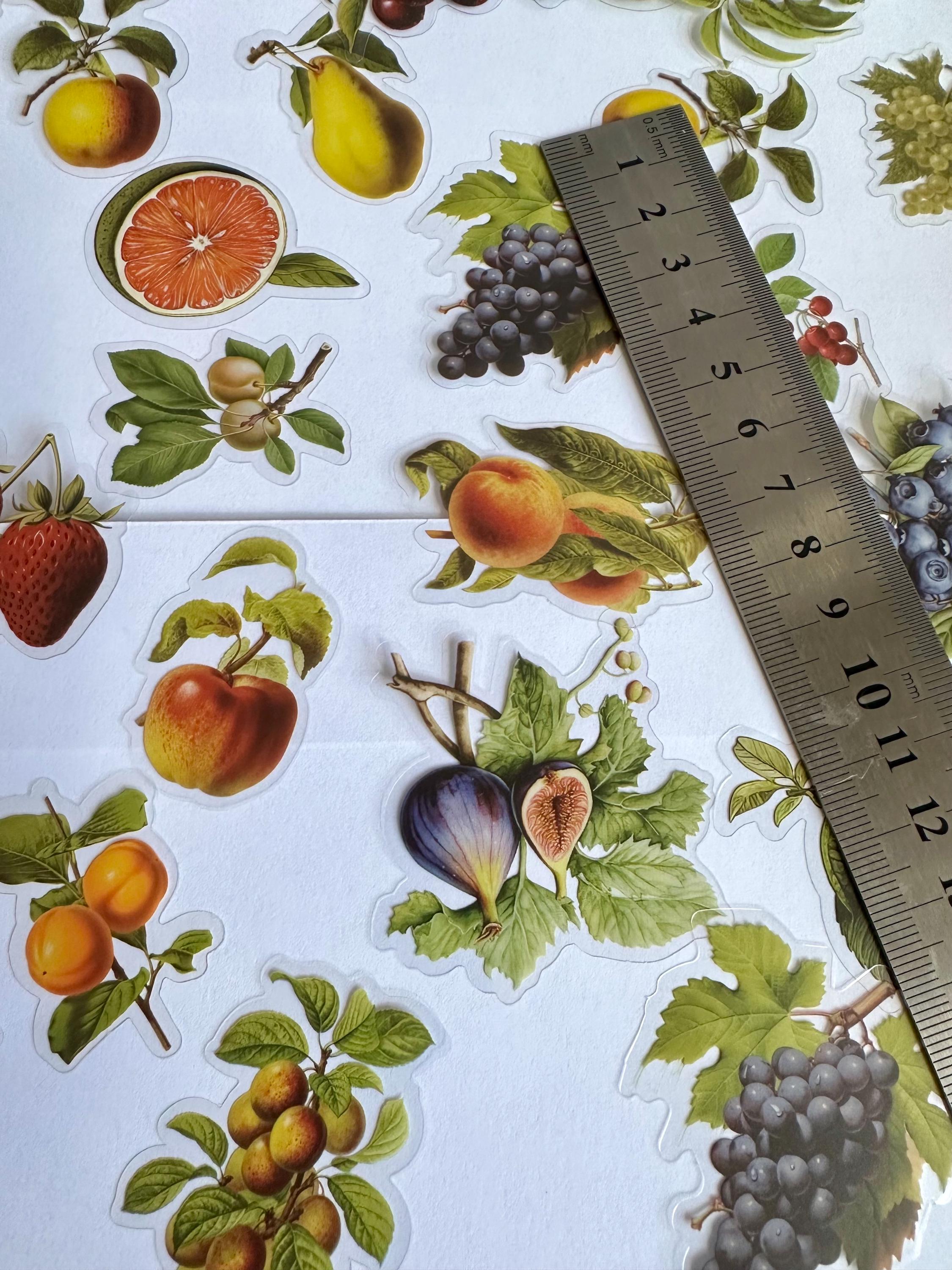 Fruit Sticker Set, Berry Stickers, Fruity Stickers, Strawberry Stickers ...