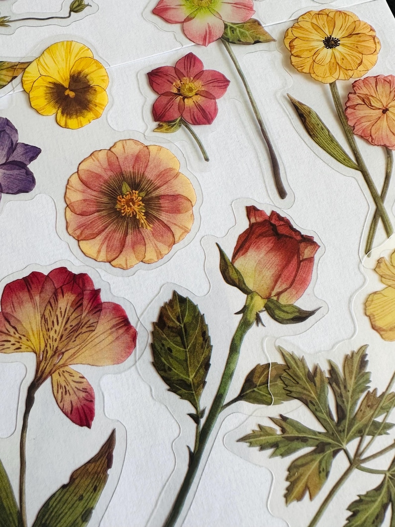 Dried Flowers Sticker Set, Wild Flower Bouquet Stickers, Wildflowers ...