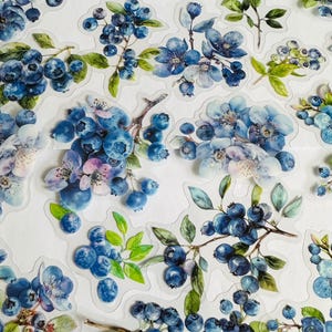 Set di adesivi di frutta mista, adesivi di bacche, adesivi di frutta, adesivi di fragole, adesivi di frutti di bosco, prugna, mela, lampone, albicocca, fiori