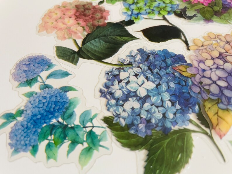 Set of Hydrangea Floral Stickers Flower Plants Craft Stickers, Bullet ...