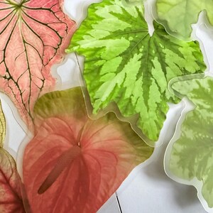 May include: An assortment of colorful leaf-shaped stickers. The leaves display a variety of colors, including pink, green, and yellow, with intricate vein patterns. Some leaves have a variegated appearance.