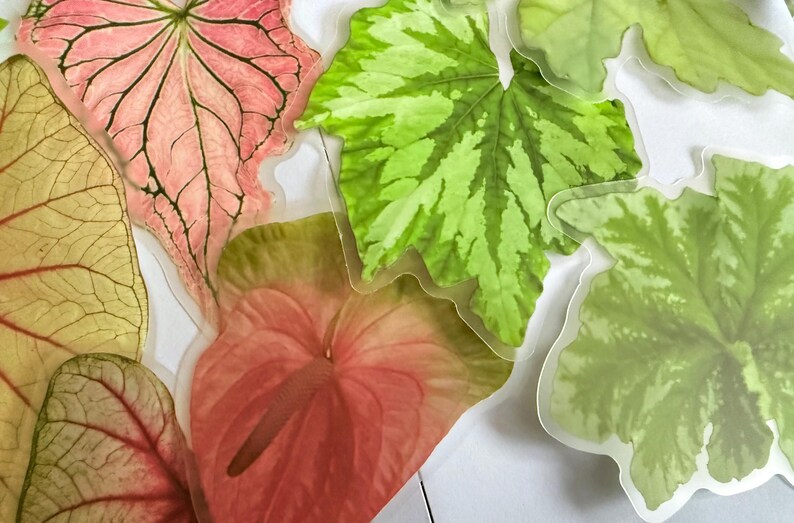 May include: An assortment of colorful leaf-shaped stickers. The leaves display a variety of colors, including pink, green, and yellow, with intricate vein patterns. Some leaves have a variegated appearance.