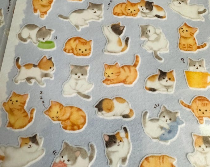 50 Funny Cats Sticker Pack With 100 or 50 High Quality CAT Meme ...