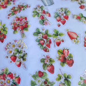 Set di adesivi di frutti rossi, adesivi di bacche, adesivi di frutta, adesivi di fragole, adesivi di frutti di bosco, prugna, mela, lampone, albicocca, fiori