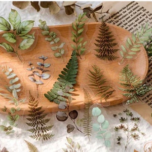 Set of leaf stickers, green leaves, orange leaves, plant stickers, bullet journal stickers, autumn leaves