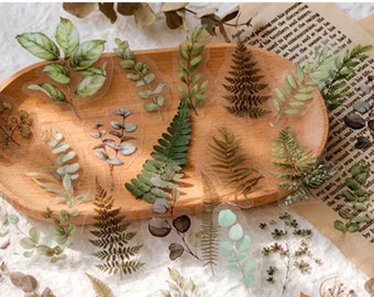 May include: A set of 15 clear stickers featuring pressed green leaves and ferns. The stickers are arranged on a wooden plate and a book.
