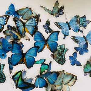 May include: Assortment of blue butterfly stickers with various wing patterns and sizes. The stickers are on a white background.