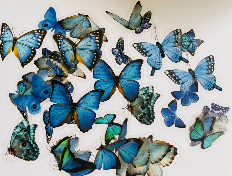 May include: Assortment of blue butterfly stickers with various wing patterns and sizes. The stickers are on a white background.