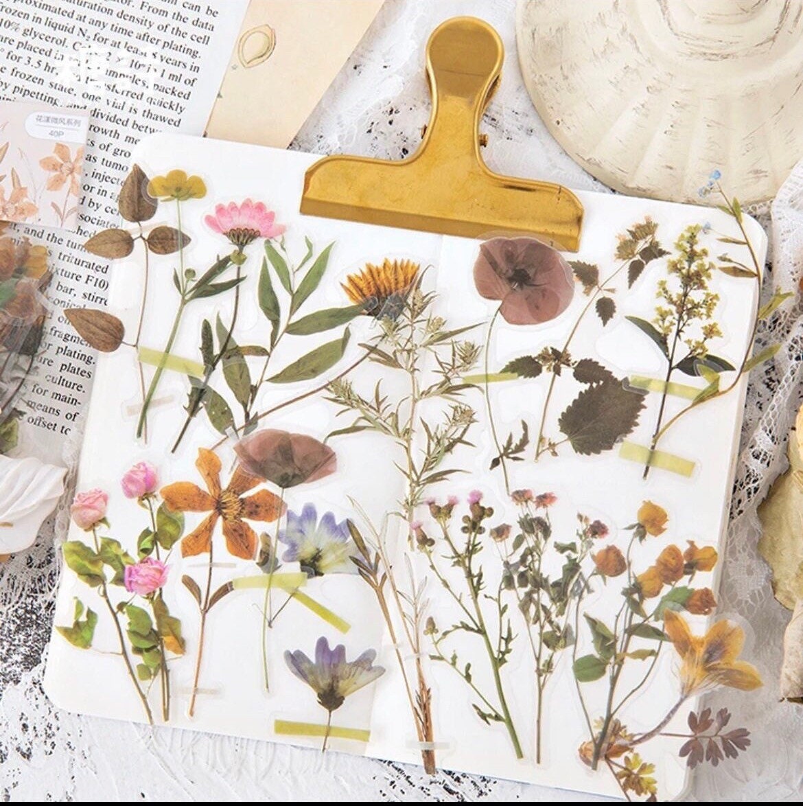 10 Pressed Flower Sticker Pack | Waterproof Reusable Set | Clear Backed ...