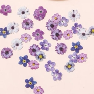 Pode incluir: Conjunto de flores secas em tons de roxo, azul e branco. As flores estão espalhadas sobre um fundo rosa claro.