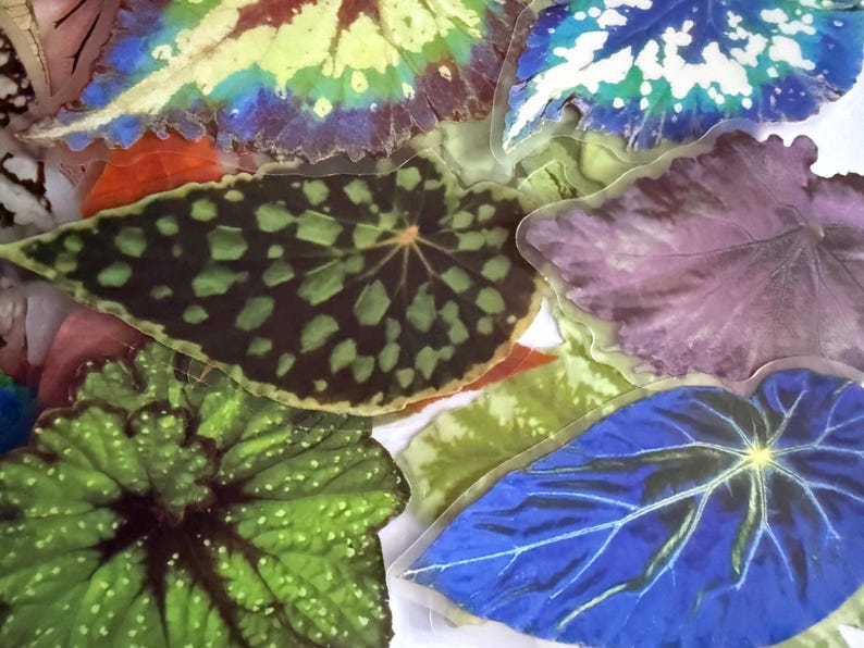 May include: A collection of colorful leaf-shaped stickers. The leaves display a variety of patterns and colors, including green, blue, purple, and yellow. Some leaves have a speckled design, while others have intricate veining.