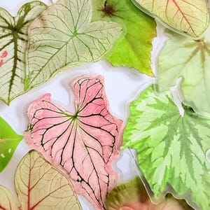 May include: An assortment of colorful leaf-shaped stickers. The leaves vary in shades of green, pink, and cream, with intricate vein patterns. Some leaves have pink or red accents, while others are a solid green.