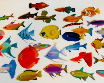 Set of fish marine stickers | nature stickers | journal stickers | craft supplies, carp stickers