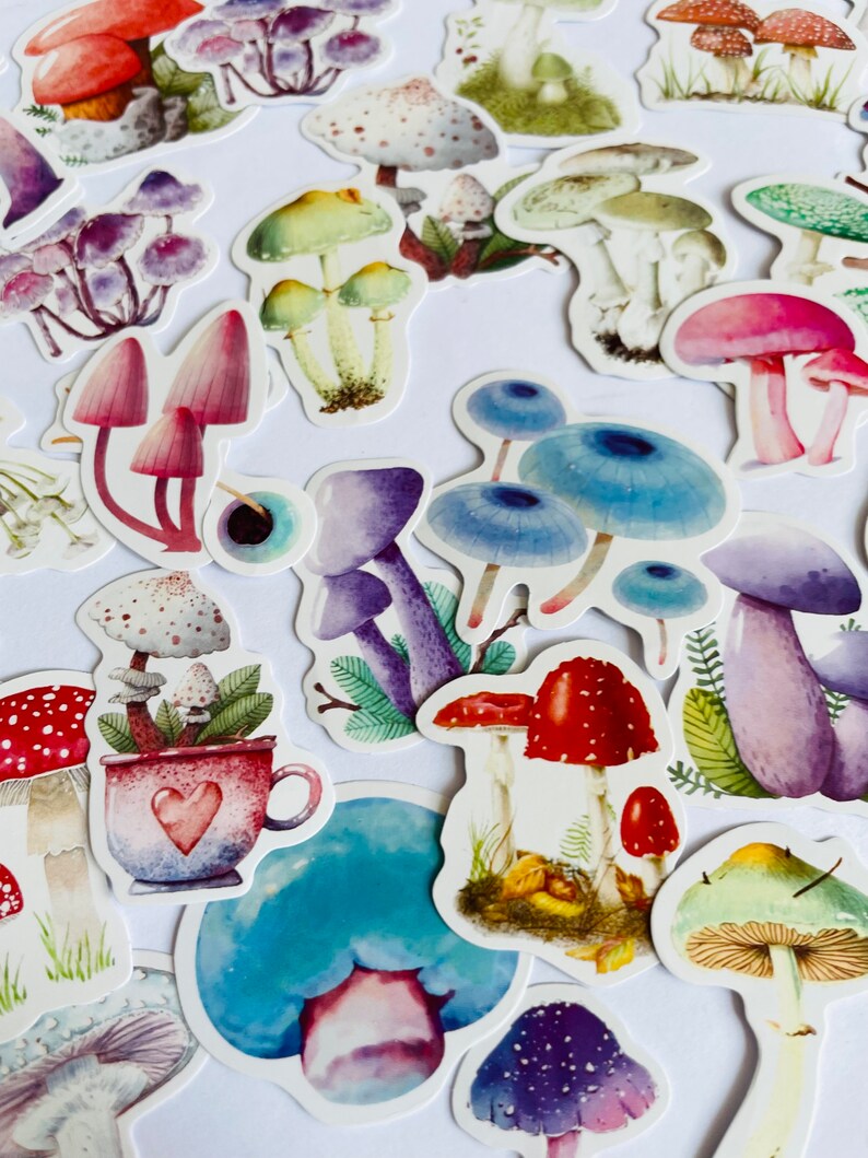 May include: A collection of colorful mushroom stickers with various designs, including red and white mushrooms, blue mushrooms, and green mushrooms. The stickers are perfect for adding a whimsical touch to journals, planners, and other craft projects.