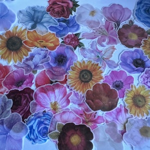 Pacchetto di 10 adesivi con fiori pressati / Set riutilizzabile impermeabile / Retro trasparente / Realistico / Stelo floreale / Petalo di fiorista / Creazione di carte di diario