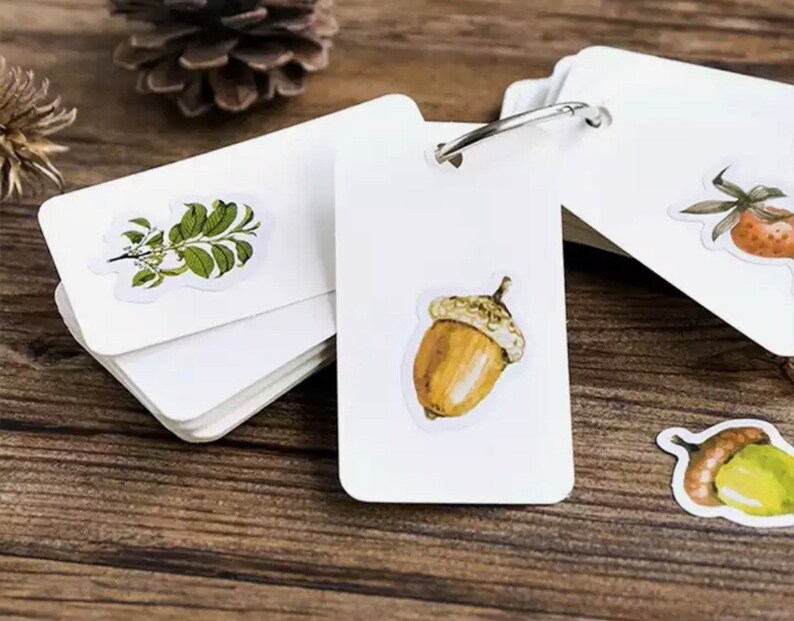 Set of Mushroom / Woodland Acorn / Pine Cone / Forest Planner Stickers ...