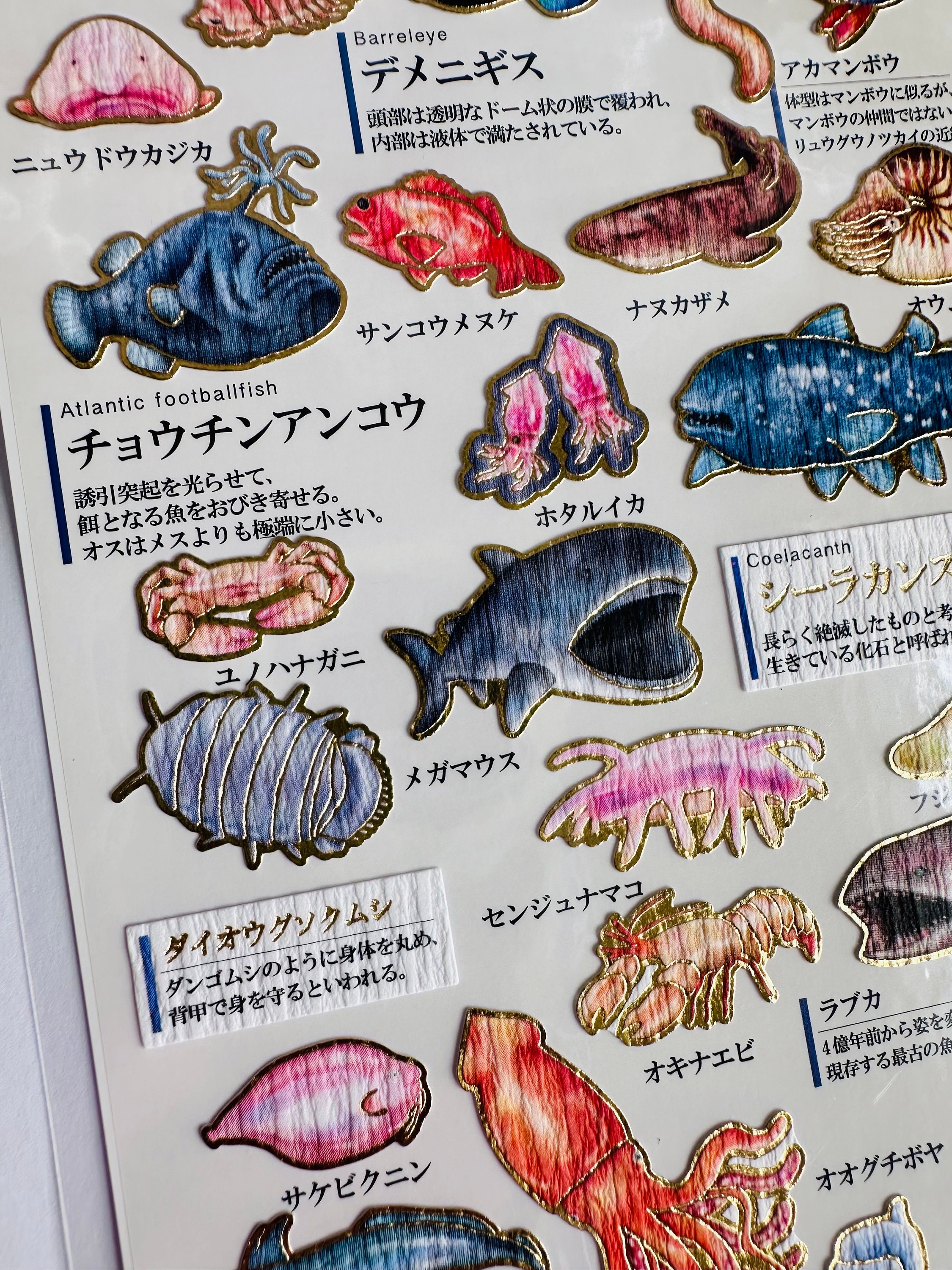 Life Fish Sticker Set of Sealife Fish Stickers, Sea Life, Coral Reef Fish Marine Stickers ...