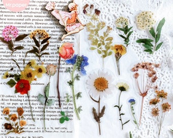 以下が含まれることがあります： 押し花と植物がデザインされた、透明でクリアなステッカーのシートです。ジャーナル、プランナー、その他のクラフトプロジェクトに自然のタッチを加えるのに最適です。
