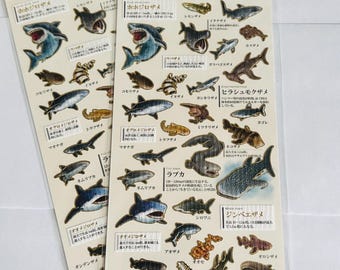 Conjunto de pegatinas de vida marina: tiburones, ballenas, peces blancos de arrecife / pegatinas de naturaleza / pegatinas para diario / materiales para manualidades, ballena.