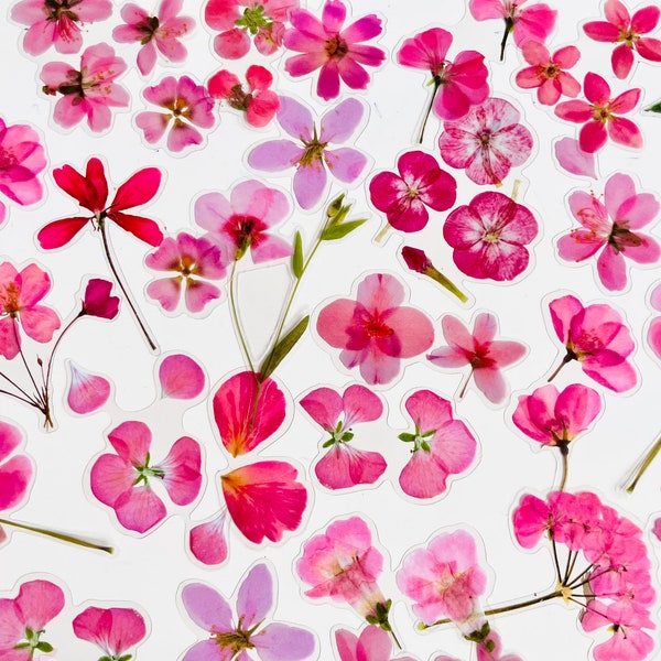 Pink blossom Flowers Sticker Set, Geranium petal  blossom  Stickers, Peony, Pansy Stickers, Hippie Boho Floral Stickers,