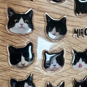 Stickers chat, Stickers agenda, Stickers agenda, Fabrication de cartes, Stickers coréens, Stickers petits travaux manuels, Scrapbooking BC, cadeau chat noir