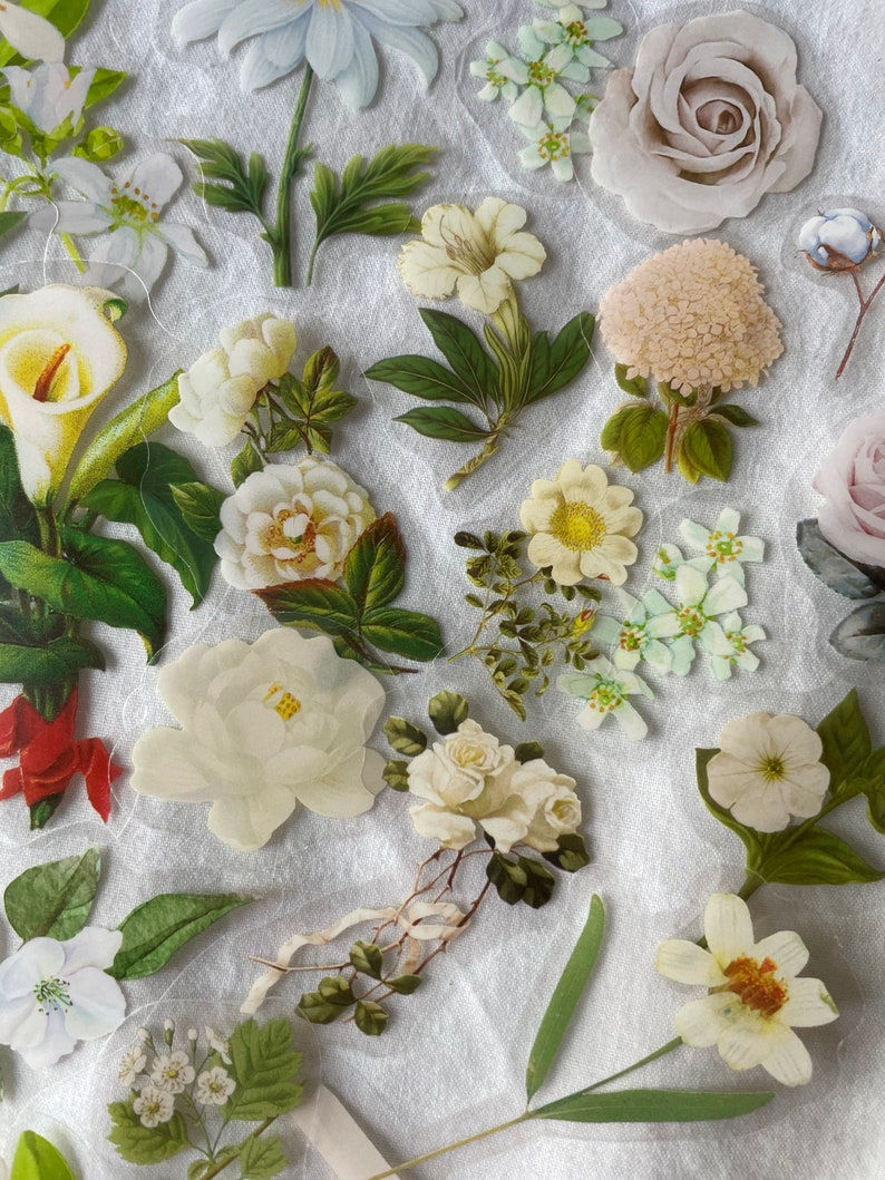 10 White Flowers Sticker Set Lily Stickers Rise Daisy Etsy