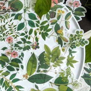 Set of green plant stickers, green leaves, orange leaves, plant stickers, bullet journal stickers, Monstera Deliciosa plant