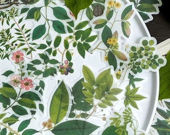 May include: A sheet of clear stickers with various botanical illustrations of leaves, flowers, and berries. The stickers are on a white background and have a delicate, vintage aesthetic.