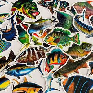 Set of fish marine stickers | nature stickers | journal stickers | craft supplies, carp stickers