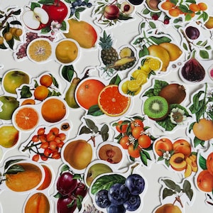 Set di adesivi di frutta mista, adesivi di bacche, adesivi di frutta, adesivi di fragole, adesivi di frutti di bosco, prugna, mela, lampone, albicocca, fiori