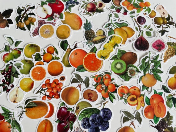 Mix fruits Sticker Set, Berry Stickers, Fruity Stickers, strawberry Stickers, Soft fruit Stickers, plum, apple, raspberry, apricot, flowers