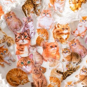 K&ouml;nnte beinhalten: Eine Sammlung bunter Katzenaufkleber mit verschiedenen Rassen und Posen. Die Aufkleber sind auf durchsichtigem, gl&auml;nzendem Papier gedruckt und eignen sich perfekt, um Tageb&uuml;chern, Planern und anderen Bastelprojekten einen Hauch von Verspieltheit zu verleihen.