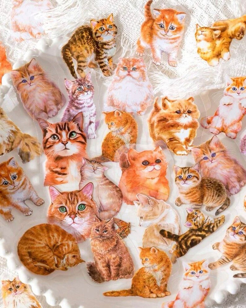K&ouml;nnte beinhalten: Eine Sammlung bunter Katzenaufkleber mit verschiedenen Rassen und Posen. Die Aufkleber sind auf durchsichtigem, gl&auml;nzendem Papier gedruckt und eignen sich perfekt, um Tageb&uuml;chern, Planern und anderen Bastelprojekten einen Hauch von Verspieltheit zu verleihen.