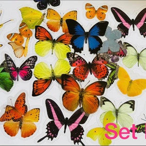 May include: A set of colourful butterfly stickers with a variety of designs and colours, including blue, green, yellow, orange, pink, and red. The stickers are arranged in a random pattern on a white background. The text "Set B" is printed in pink at the bottom of the image.