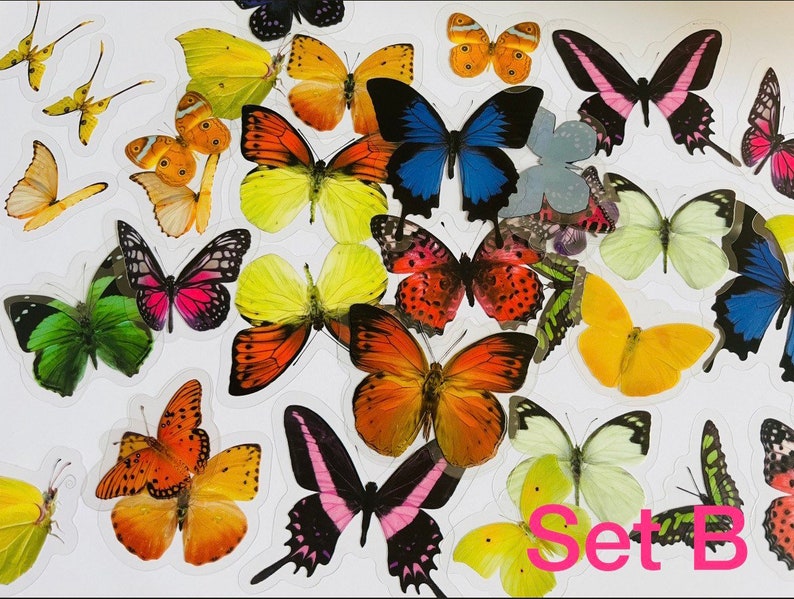 May include: A set of colourful butterfly stickers with a variety of designs and colours, including blue, green, yellow, orange, pink, and red. The stickers are arranged in a random pattern on a white background. The text "Set B" is printed in pink at the bottom of the image.