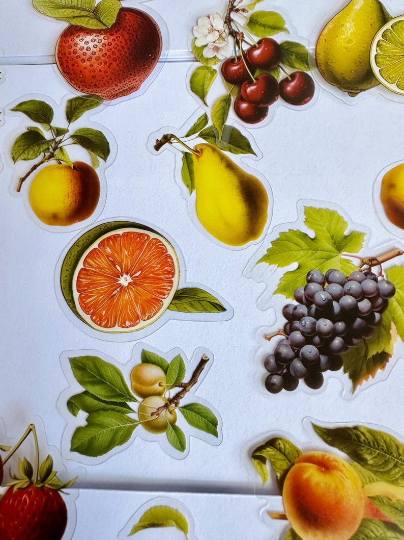 Sticker Frooty Fruit Sticker Set, Berry Stickers, Fruity Stickers, Strawberry Stickers ...
