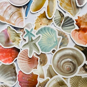 Beach shell life, shell, sea shell Sealife stickers, whale, dolphin, marine stickers | nature stickers | journal stickers | craft supplies