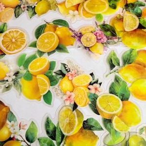 Puede incluir: Una colección de pegatinas troqueladas con limones de color amarillo brillante, rodajas de limón, hojas verdes y pequeñas flores blancas y rosas. Los diseños incluyen varios arreglos de limones enteros y motivos florales sobre un fondo blanco.