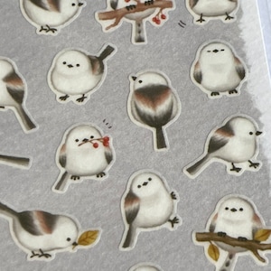 Japoński arkusz naklejek z ptakami/papużkami falistymi, naklejki z naturą i zwierzętami, naklejki koreańskie, Kawaii, suatelier, mindwave