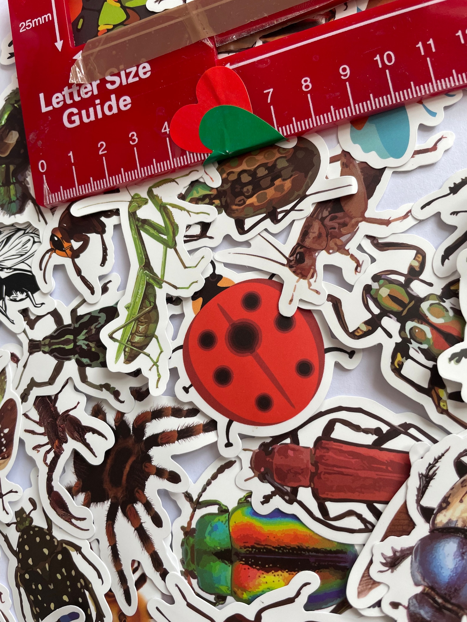 Large Vinyl Insect Stickers | Die Cut Decal Set | Waterproof Reusable ...