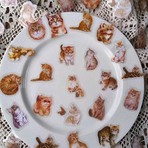 Naklejki z rudym kotem, naklejki do planera, naklejki do pamiętnika, tworzenie kartek, koreańskie naklejki, drobne naklejki do rękodzieła, scrapbooking BC, prezent z czarnym kotem